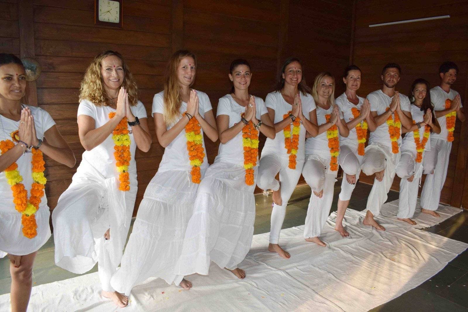 200hr yoga teacher training certification goa