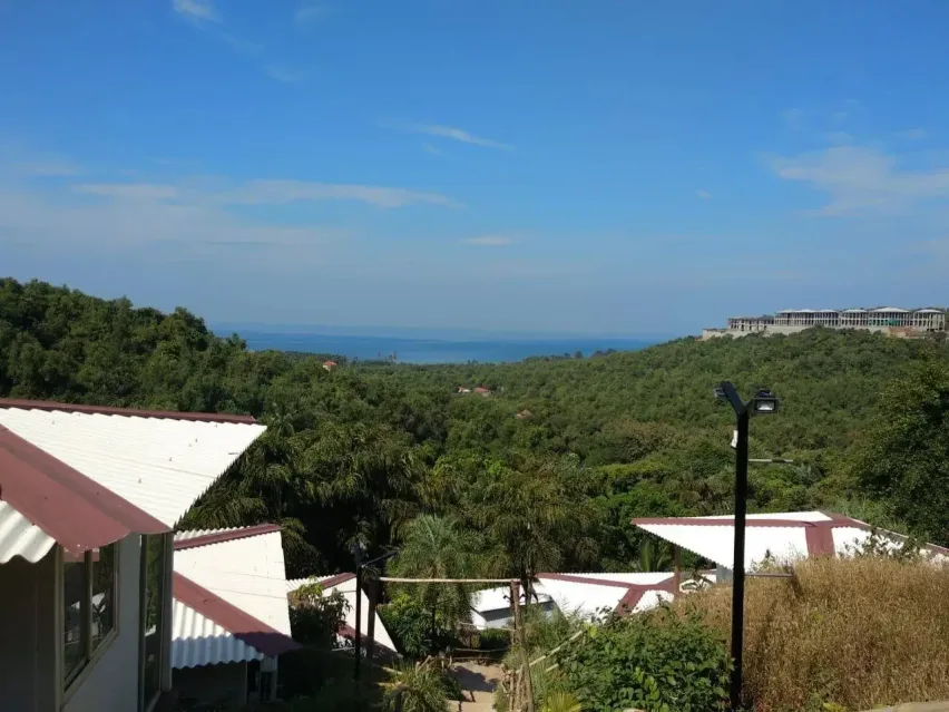 Ashram grounds wrapped in nature
