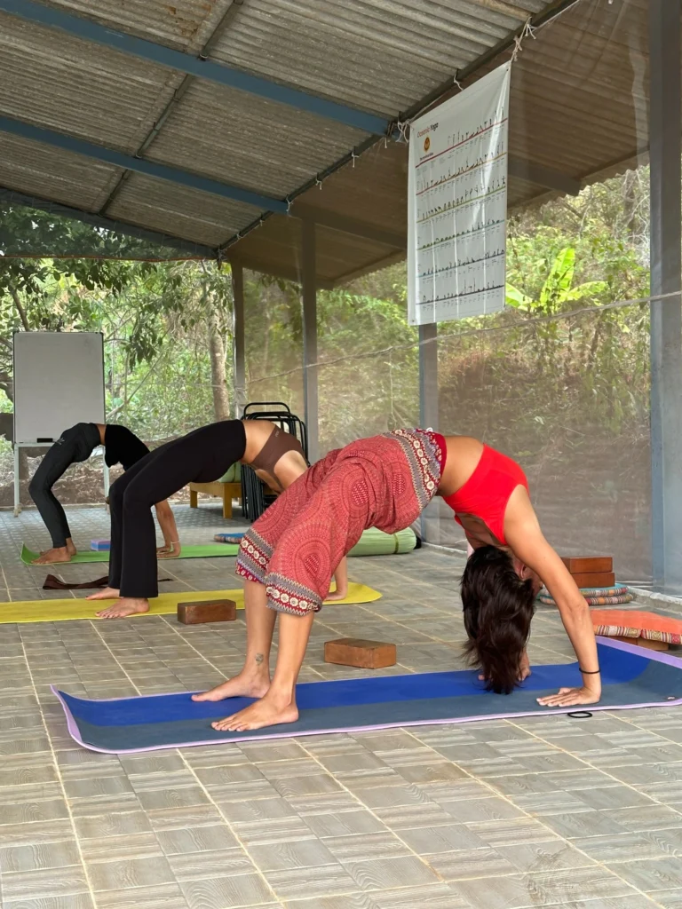 300 Hour Yoga Teacher Training