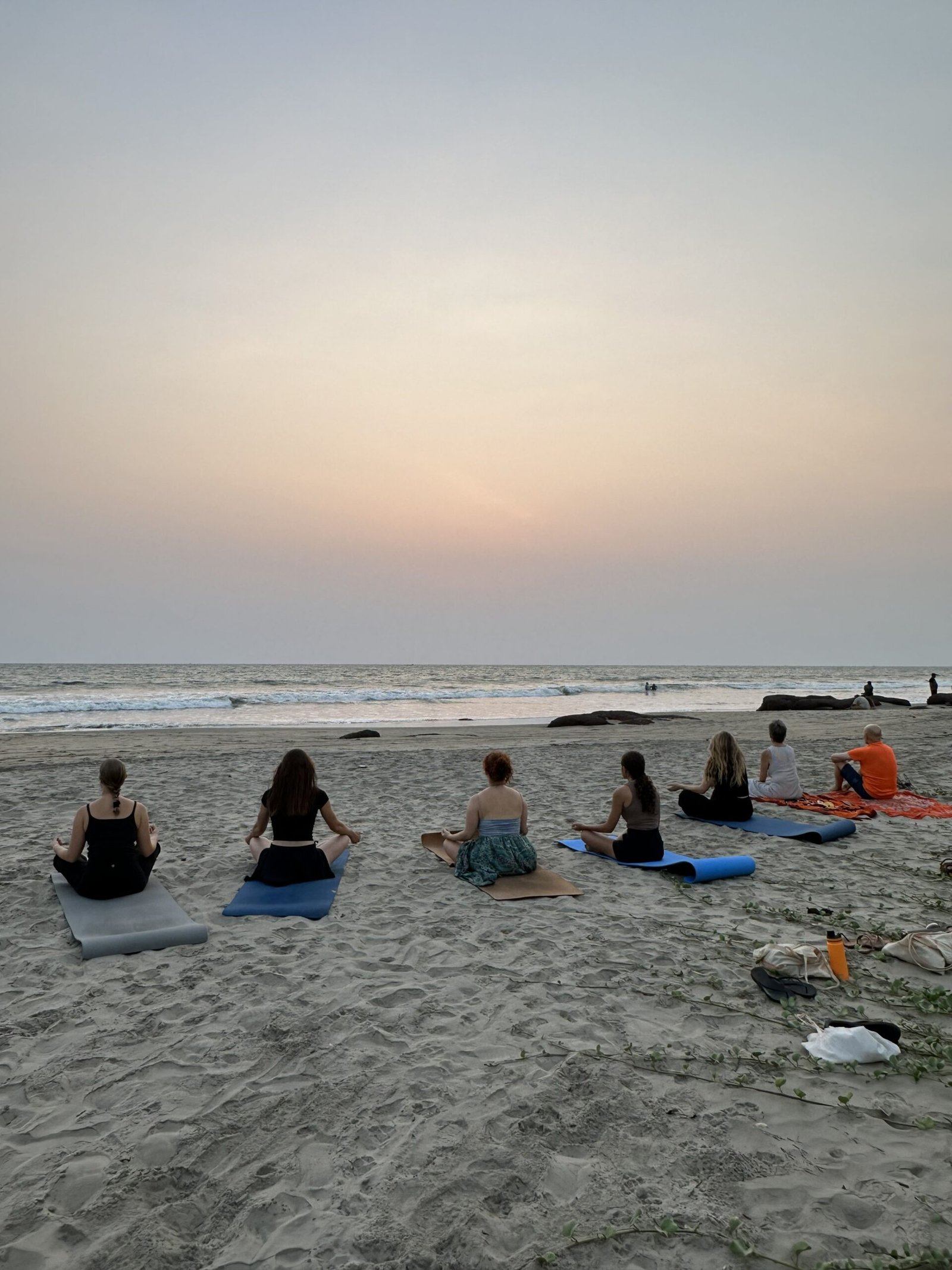 200 Hour Multi Style Yoga Teacher Training