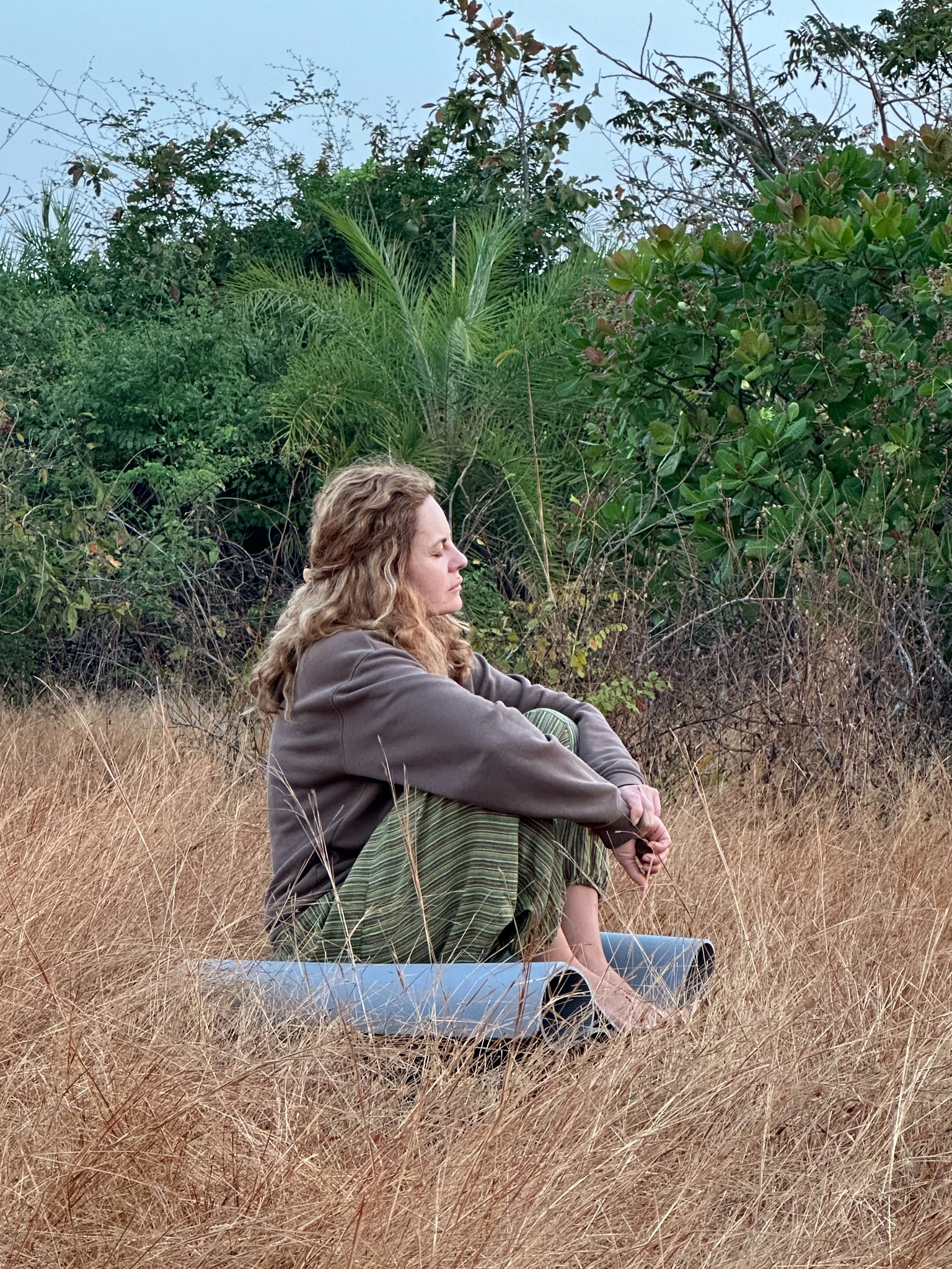 Yoga Nidra & Meditation Teacher Training