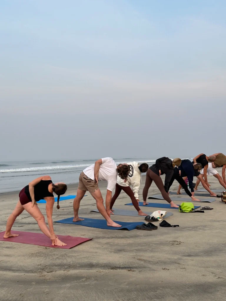 Ashtanga Yoga Teacher Training
