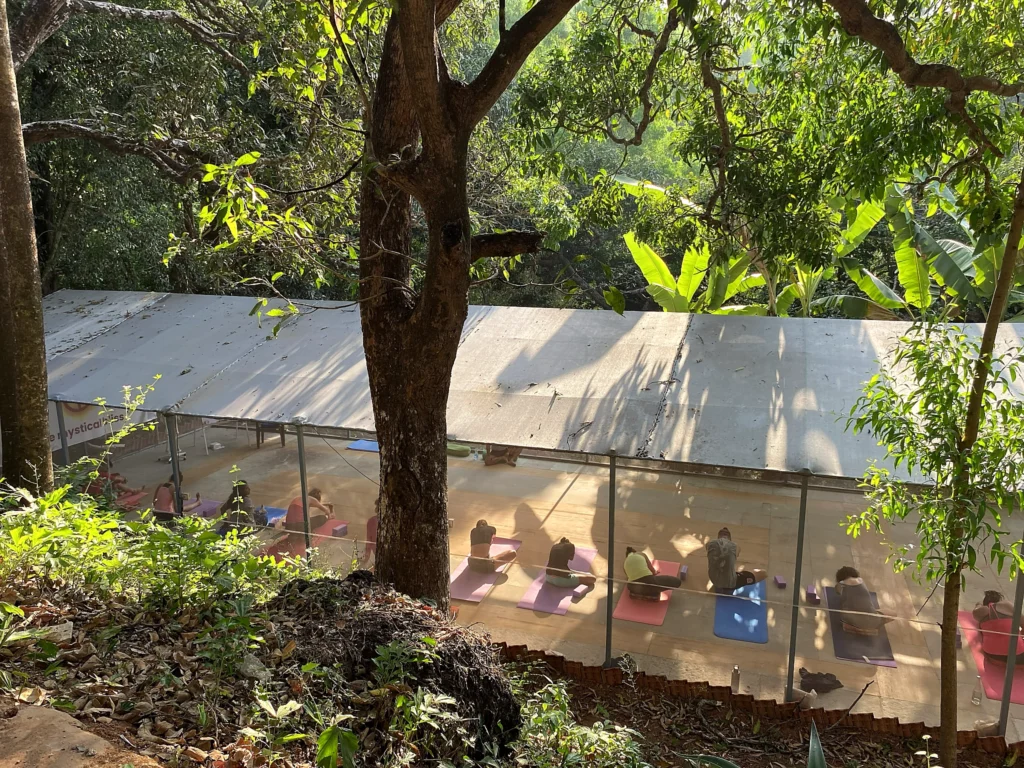 Yoga class practicing seated forward bends in an open-air shala among trees