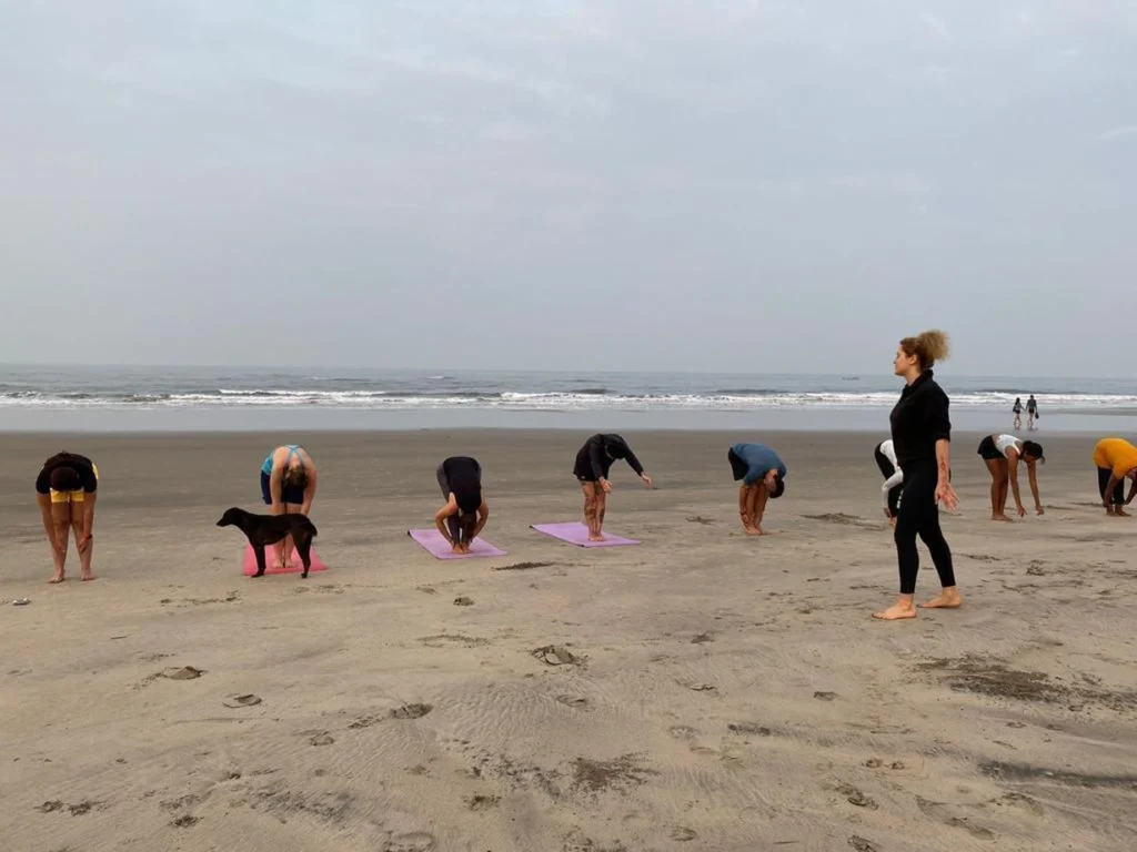 Hybrid 200 Hour Yoga Teacher Training