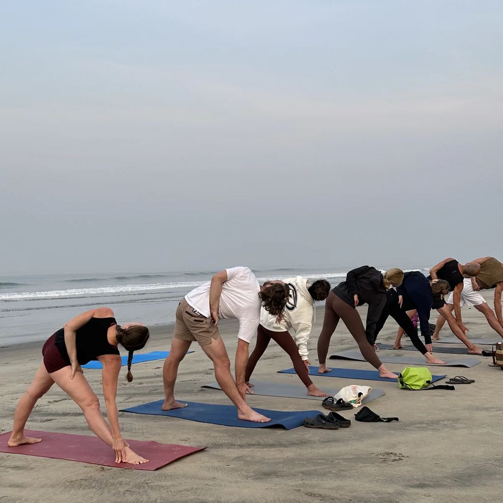 Students learning foundational alignment during 200 hour yoga teacher training in Goa