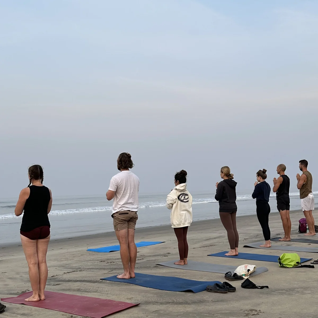 Yoga students in morning prayer meditation during YTT preparation on Morjim beach Goa