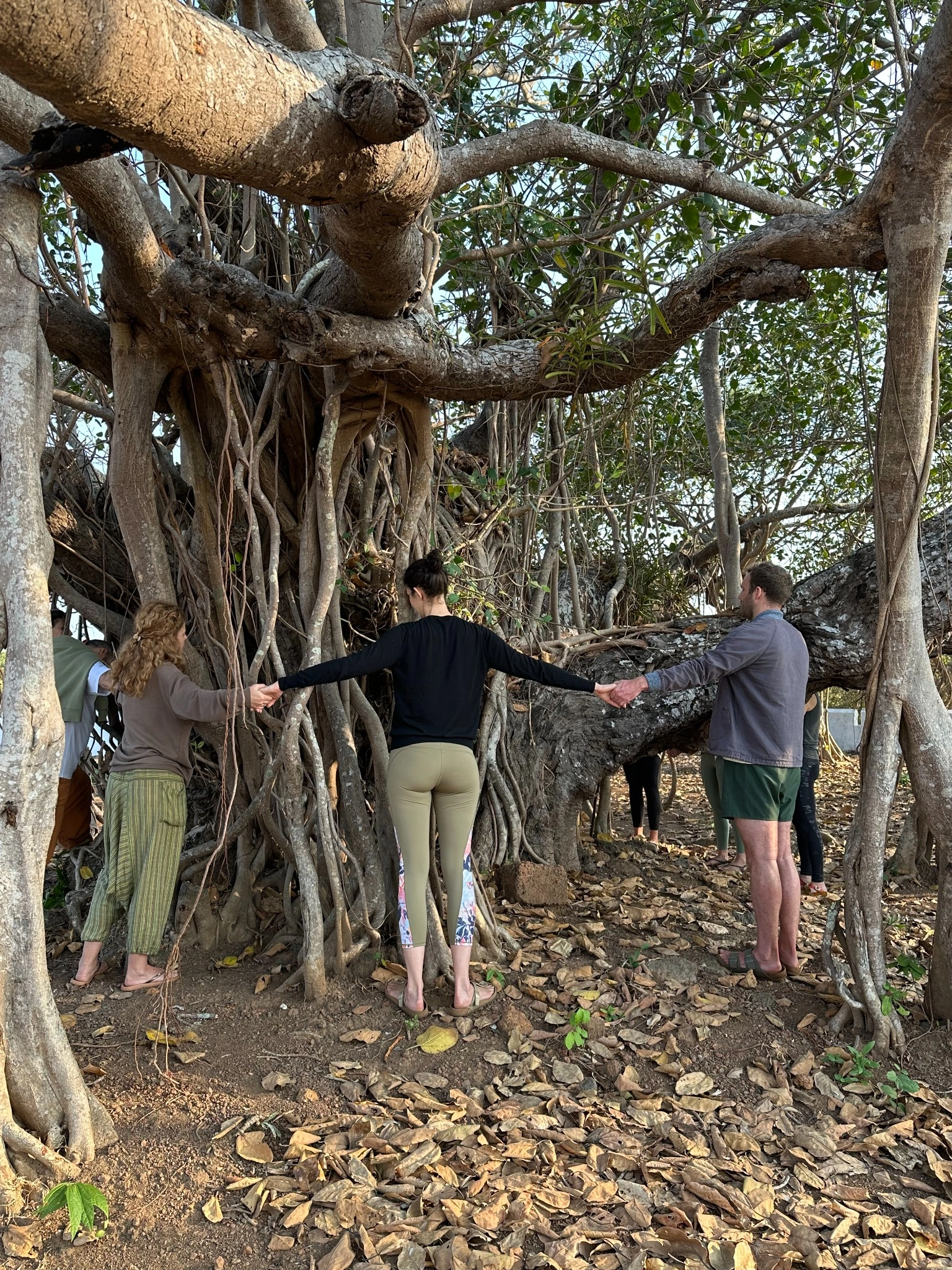 Nervous System Regulation & Trauma-Informed Yoga Teacher Training