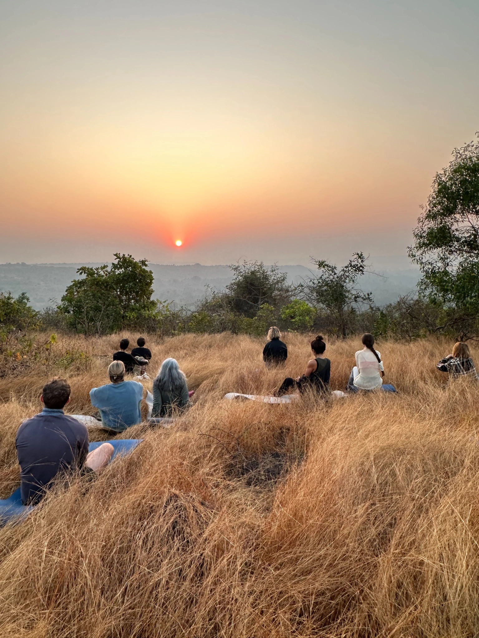 Nervous system regulation yoga teacher training in Morjim, Goa