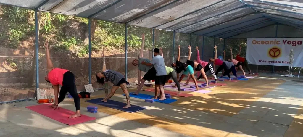 300 Hour Yoga Teacher Training
