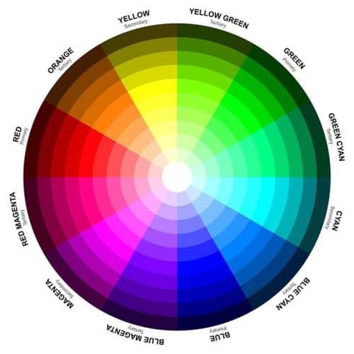 color-wheel in yoga training